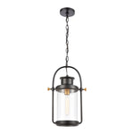 Wexford 12'' Wide 1-Light Outdoor Pendant - Matte Black