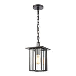 Radnor 8'' Wide 1-Light Outdoor Pendant - Matte Black