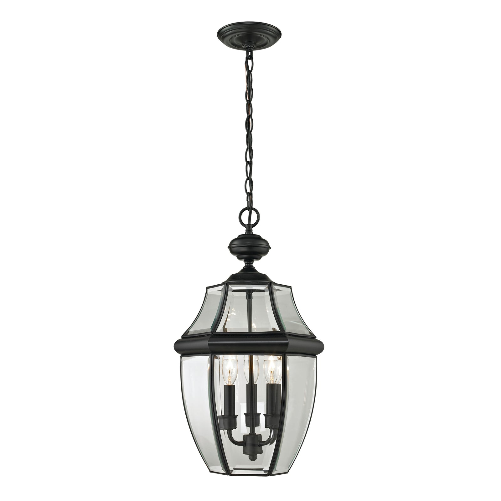Ashford 12'' Wide 3-Light Outdoor Pendant - Black