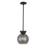 Arcadia 8-in Black/Smoked 1 Light Pendant