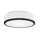 Charlie 12-in Black LED Flush Mount