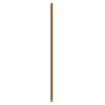 Fan Downrod 48-in Brushed Gold