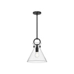 Emerson 11-in Matte Black/Clear Glass 1 Light Pendant