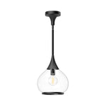 Hazel 10-in Clear Glass/Matte Black 1 Light Pendant