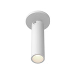 Lorna 9-in (2-in Dia.) 36 Degree Optic White LED Adjustable Ceiling Mount
