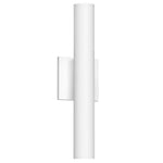 Lorna 16-in (2-in Dia.) 36 Degree Optic White LED Wall Sconce Up/Down Light