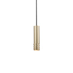 Milca 10-in Gold 1 Light Pendant