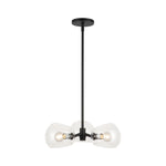 Willow 16-in Clear Glass/Matte Black 3 Lights Pendant