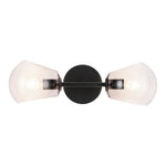 Willow 17-in Clear Glass/Matte Black 2 Lights Wall/Vanity