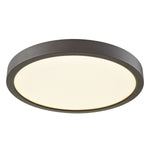 Titan 10'' Wide 1-Light Flush Mount - Oil Rubbed Bronze