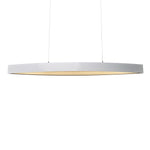 Ellipse 4" x 8" Linear Pendant (22498-60)