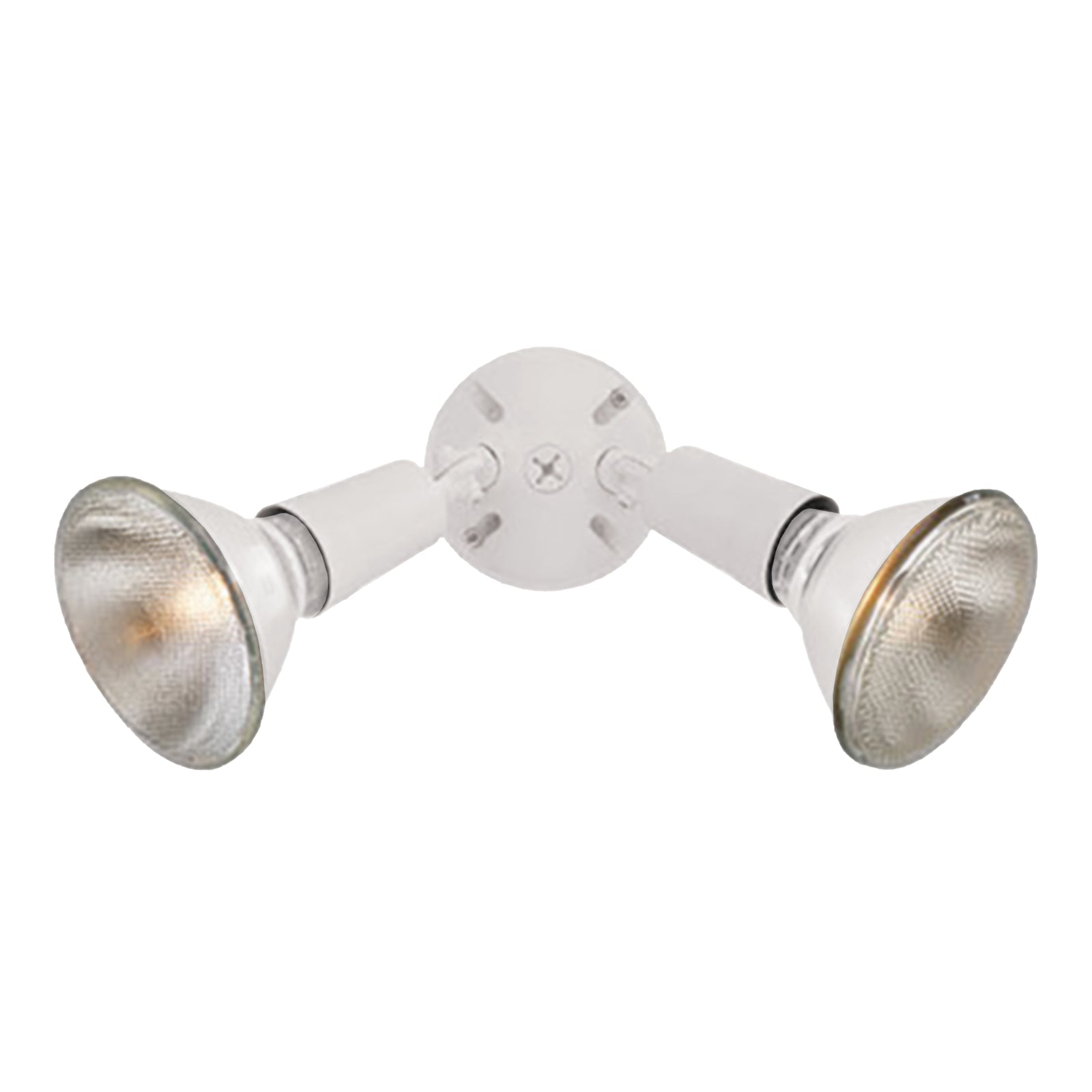 Daley 6'' High 2-Light Outdoor Sconce - White