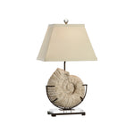 Ammonite Lamp