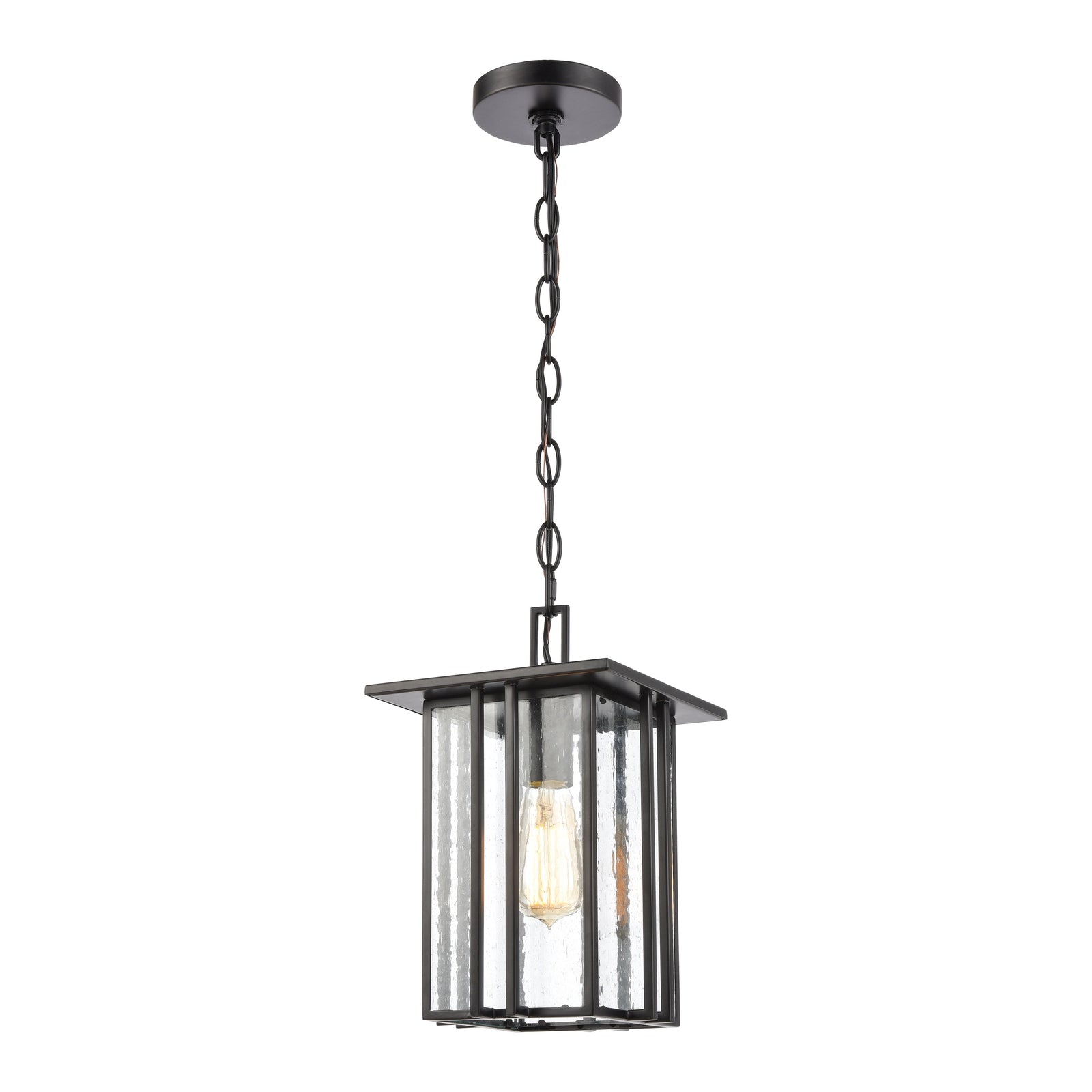 Radnor 8'' Wide 1-Light Outdoor Pendant - Matte Black