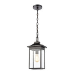 Lamplighter 8'' Wide 1-Light Outdoor Pendant - Matte Black