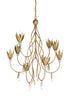 Phoebe Chandelier