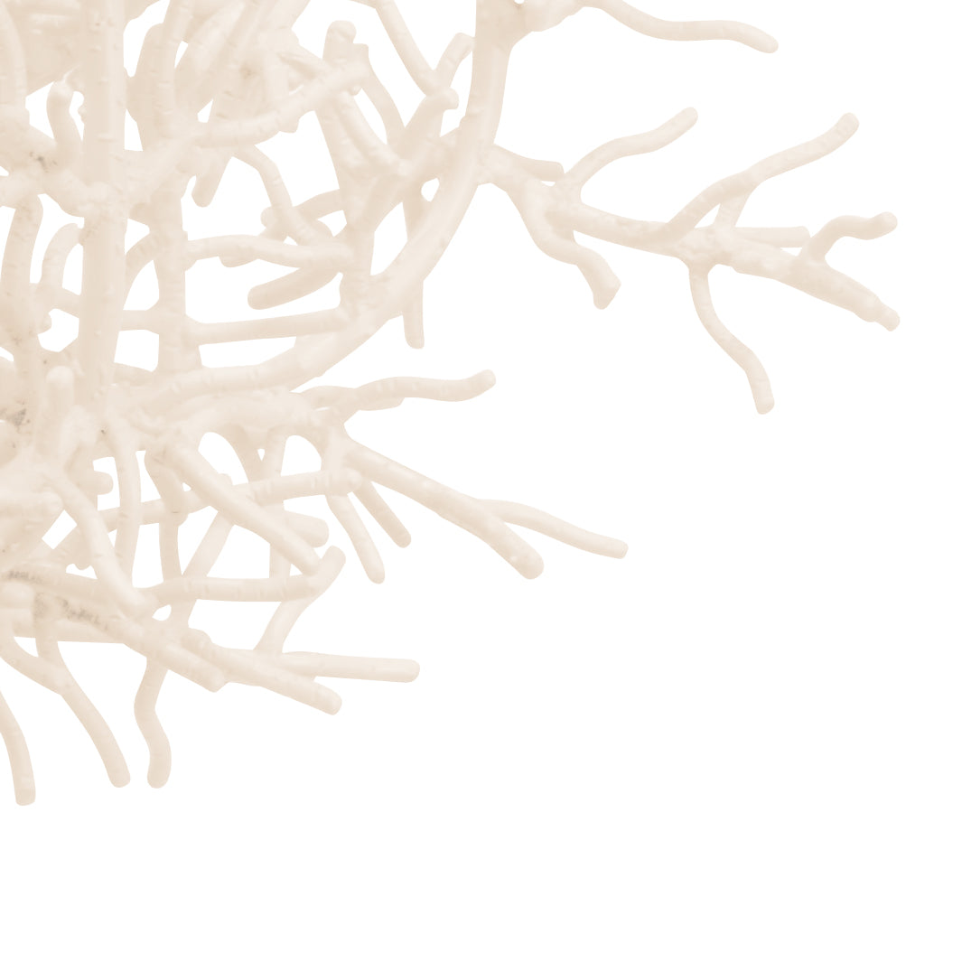 Sea Breeze Chandelier
