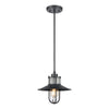 Coastal Farm 10'' Wide 1-Light Outdoor Pendant - Charcoal