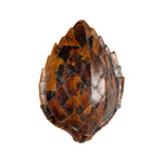 Penshell Sconce