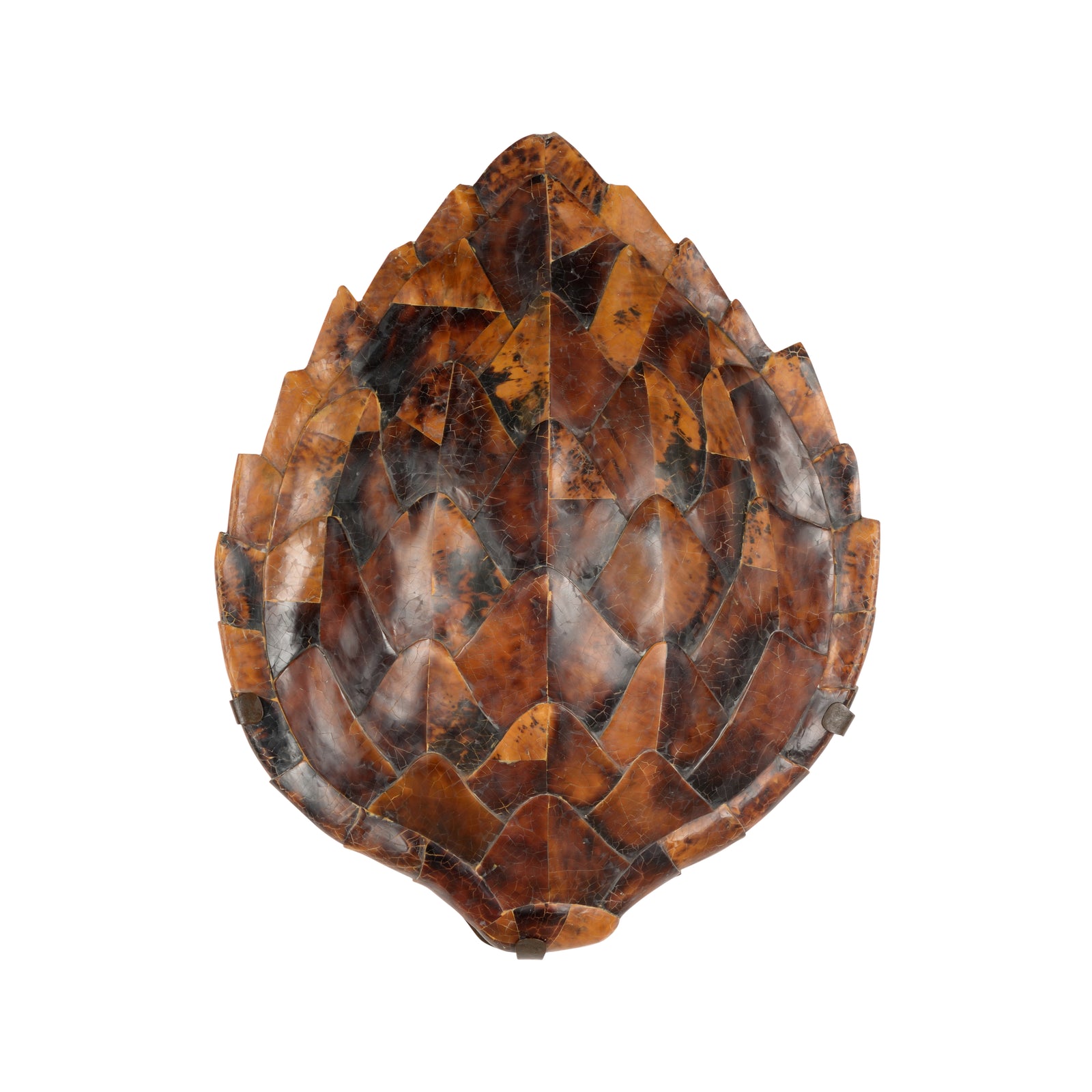Penshell Sconce