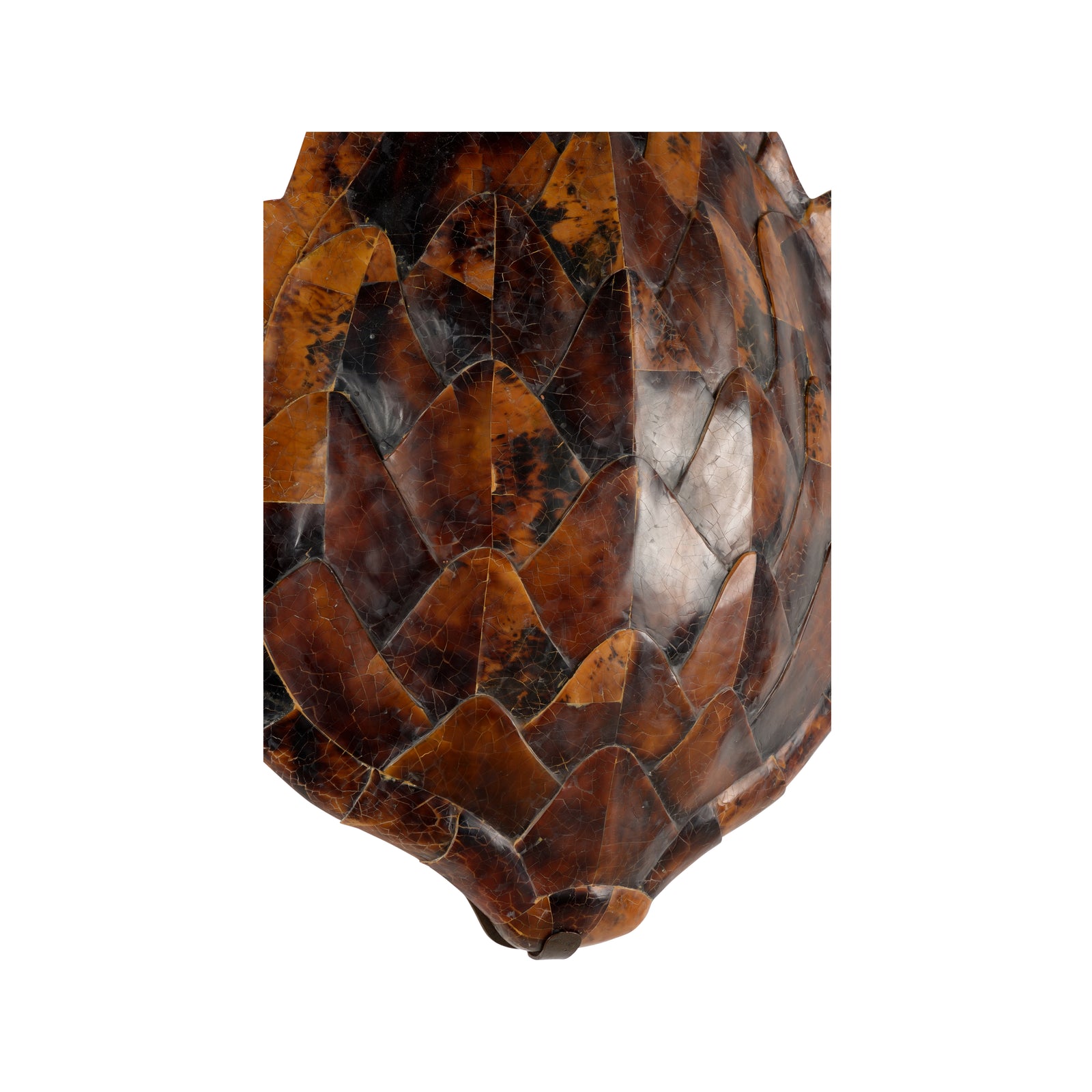 Penshell Sconce