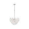 Shell Chandelier