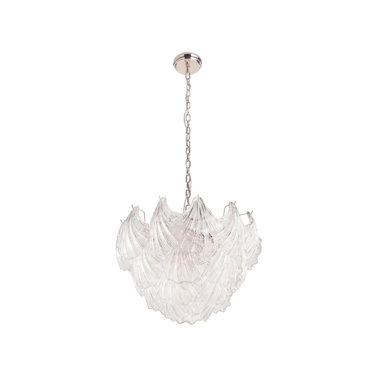 Shell Chandelier