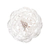 Shell Chandelier