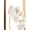 Cain Orchid Lamp