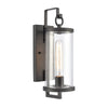 Hopkins 15.75'' High 1-Light Outdoor Sconce - Charcoal Black