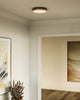 Adelaide 11-in Aged Gold/Matte Black LED Flush Mount