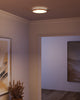 Adelaide 11-in Aged Gold/White LED Flush Mount