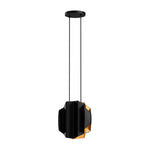 Akira 14-in Black/Gold 2 Lights Pendant