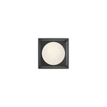Amelia 6-in Black 1 Light Exterior Wall Sconce