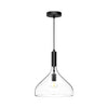 Belleview 12-in Clear Glass/Matte Black 1 Light Pendant