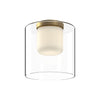 Birch 9-in Brushed Gold/Clear LED Flush Mount