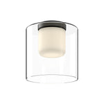 Birch 9-in Black/Clear LED Flush Mount