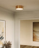 Brisbane 11-in Aged Gold 2 Lights Flush Mount