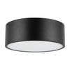 Brisbane 12-in Matte Black 2 Lights Flush Mount