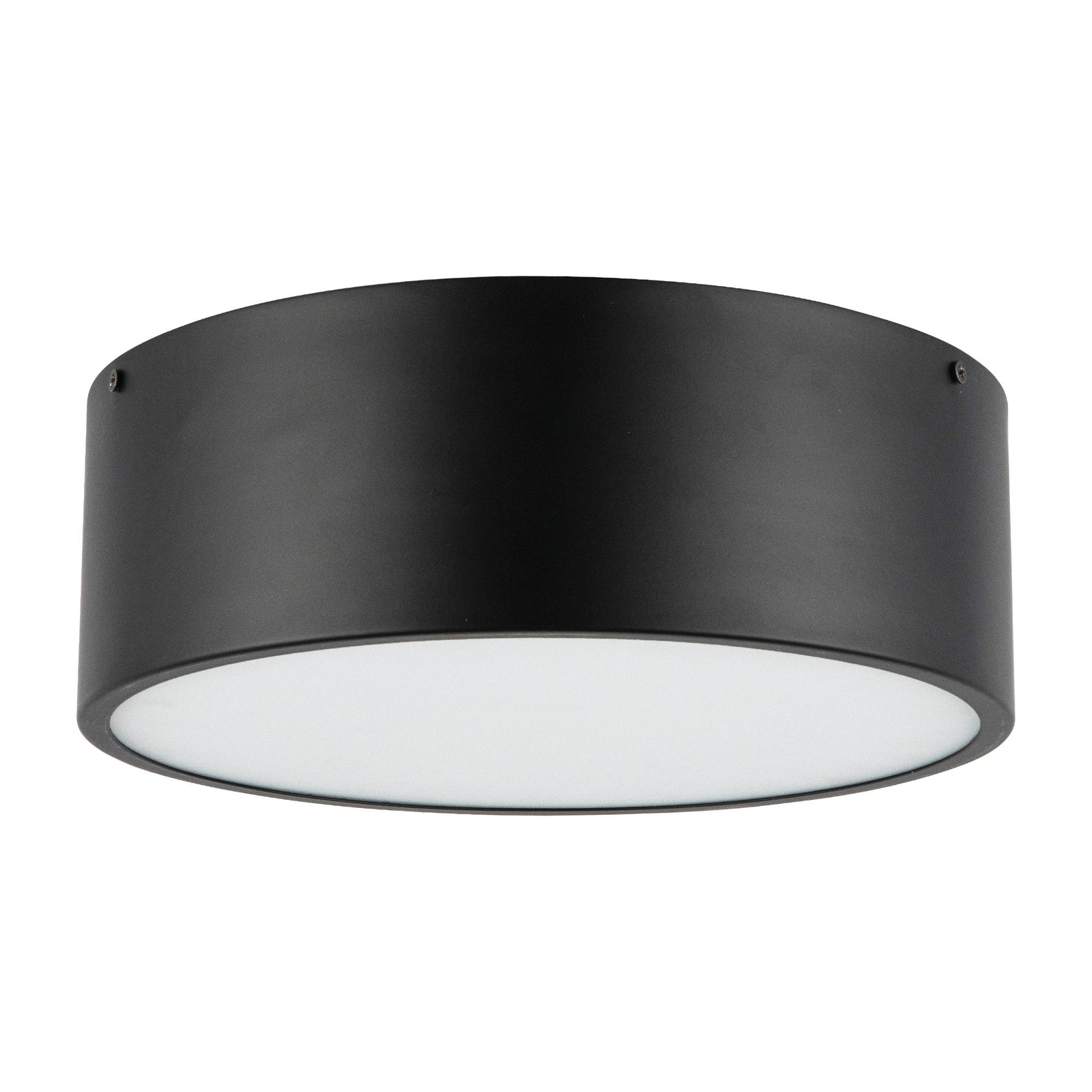 Brisbane 12-in Matte Black 2 Lights Flush Mount