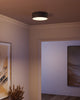 Brisbane 12-in Matte Black 2 Lights Flush Mount