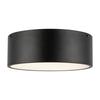 Brisbane 12-in Matte Black 2 Lights Flush Mount