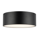 Brisbane 12-in Matte Black 2 Lights Flush Mount