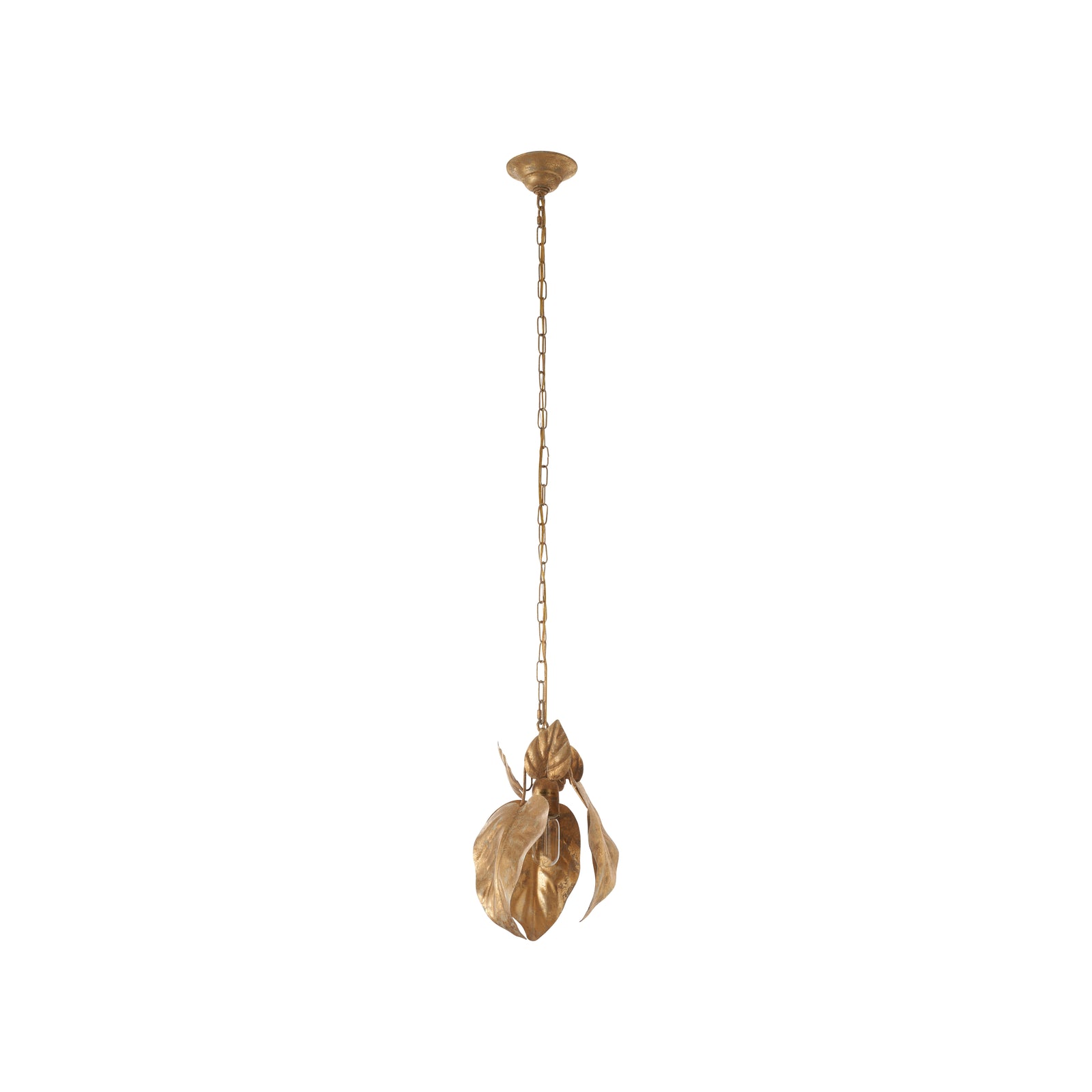Philodendron Pendant