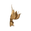 Potos Wall Sconce - Gold