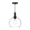 Castilla 10-in Clear Glass/Matte Black 1 Light Pendant