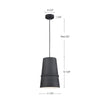 Castor 8-in Black 1 Light Pendant