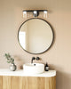 Cedar 20-in Black/Clear LED Vanity