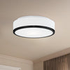 Charlie 12-in Black 2 Lights Flush Mount