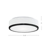 Charlie 12-in Black 2 Lights Flush Mount